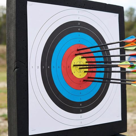 High Density EVA 20 Inch Archery Target Set with arrows in bullseye for backyard practice