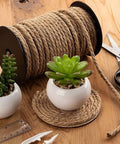 100 Feet Thick Twisted Nautical Rope For Crafts And Gift Wrapping Brown Jute String Twine Decorative Rope with succulents