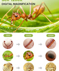 7-Inch LCD Digital Microscope With 1200X Magnification, 1080P Video, Coin Microscope, Metal Stand, 12MP Ultra-Precise Focusing Camera, 8 LED Fill Lights, Windows and Mac Compatible, Ideal for Curious Adults and Hobbyists Who Want Dope Detail. 50X-1200X close-up ant and coin detail