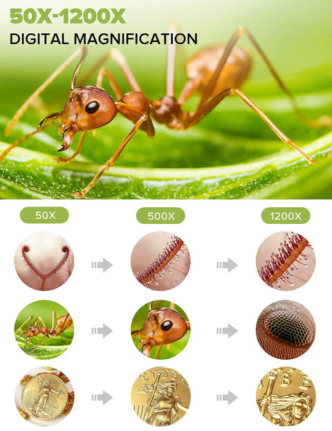 7-Inch LCD Digital Microscope With 1200X Magnification, 1080P Video, Coin Microscope, Metal Stand, 12MP Ultra-Precise Focusing Camera, 8 LED Fill Lights, Windows and Mac Compatible, Ideal for Curious Adults and Hobbyists Who Want Dope Detail. 50X-1200X close-up ant and coin detail