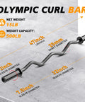 Ergonomic EZ Curl Bar For Home Gym Must Have, 47 Inch Bar With 2 Inch Weight Sleeves And Two Spring Collars, Heavy Duty
