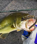 Bass with Senko worm using Bass Fishing Wacky Rig O Ring Kit, 200 Silicone Rings For Wacky Rig And Neko Rig