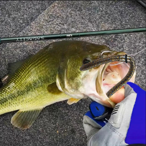 Bass with Senko worm using Bass Fishing Wacky Rig O Ring Kit, 200 Silicone Rings For Wacky Rig And Neko Rig