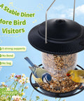 Retractable Outdoor Bird Feeder Set with Metal Hanger No Tools Needed Easy Snap Lock Install Durable Black Finish Weather Resistant Pack of 2