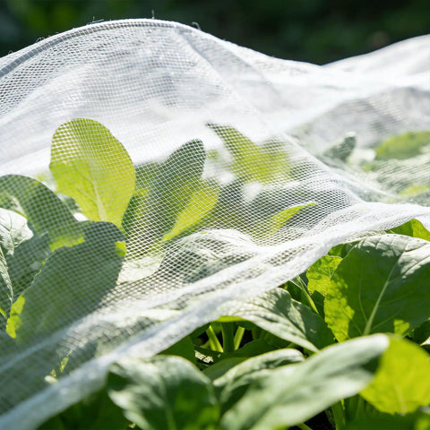 Pro Grade Garden Bug Netting 10x20 Feet Square Mesh Pest Barrier for plants and vegetables in a garden