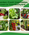 Garden-fresh vegetables and fruits grown using the 45 Variety Vegetable Seed Kit With Over 17,000 Heirloom Seeds For Indoor And Outdoor Gardens Seed Vault Kit For Grow-Your-Own Tomato Cabbage Spinach And More Gift For Mother's Day Women And Friends.