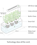Diagram of the Indoor Herb Garden Kit With Grow Light For Kitchen Windowsill, A Smart Garden That Makes Hydroponics A Breeze.