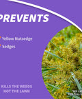 Image of Sedge Ender Concentrated Weed Killer For Lawns 16 Oz packaging highlighting prevention of nutsedge and sedges.