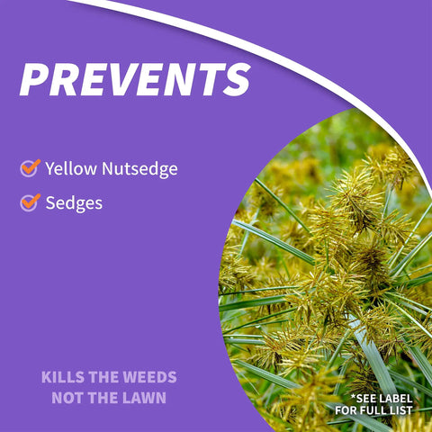 Image of Sedge Ender Concentrated Weed Killer For Lawns 16 Oz packaging highlighting prevention of nutsedge and sedges.