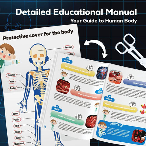 Educational manual for Glow In The Dark Skeleton Model Kit For Hands On Interactive Anatomy Practice 40 Piece Science Toy For Kids