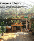 Walk In Outdoor Greenhouse Kit 8 By 14 Feet Large Weatherproof Greenhouse with plants and tools on wooden shelves inside