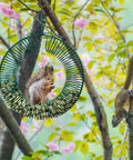 Two Pack Peanut Bird Feeder Set Round Metal Hanging Wreath Style Feeder With Built In Hook holding squirrel in tree