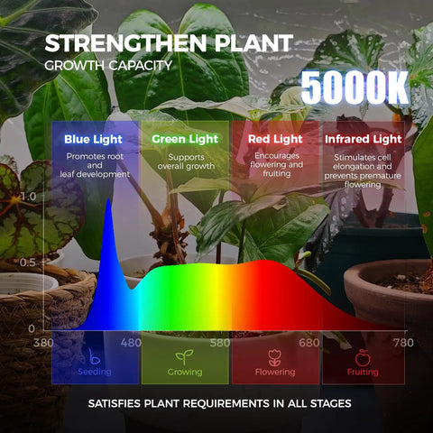 Compact Indoor Greenhouse With Full Spectrum Grow Lights 1.6Ft 100W LED 5000K For Seed Trays, 5-Tier Plant Stand Tent With Timer And Thermometer, Portable Grow Tent For Seedlings And Year-Round Plant Growth