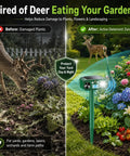 Solar Ultrasonic Deer Repellent With Motion Sensor and Flash Light for Outdoor Garden Yard Protects Flowers Vegetables and Plants From Deer Cats and Rabbits in split before-after yard scene