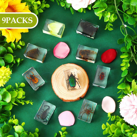 Nine Insect Resin Specimen Set With 9 Unique Bugs arranged in a circle, surrounded by flowers, on a green background