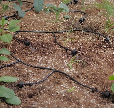 Solar Powered Automatic Drip Irrigation System With 50 Drippers And 155 Feet Of Tubing installed in a garden bed