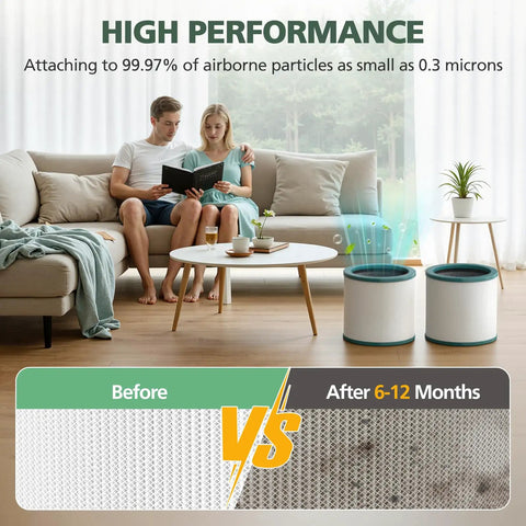 HEPA Replacement Filter For Tower Purifier Pure Cool Link TP01 TP02 TP03 AM11 BP01 Models 968126-03 Totally Fits 2 Pack shown in living room with air diagram
