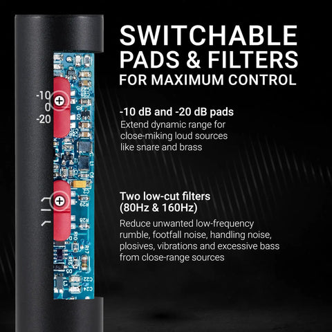 Matched Pair Small Diaphragm Condenser Microphones, XLR, Pro Instrument Mics with switchable pads and filters for studio use