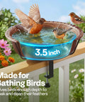 Top Shelf Deck Mounted Bird Bath Featuring Adjustable Heavy Duty Metal Clamp And All Weather Resistant Retro Bronze Finish Durable Plastic Basin Safe For Backyard Or Garden Use with birds bathing.