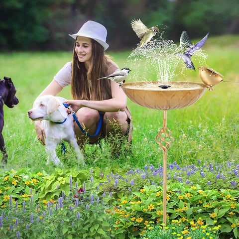 Outdoor Metal Bird Bath With 27.6 Inch Stand Five Prongs Base Stake Freestanding Bird Feeder and Waterer in garden setting