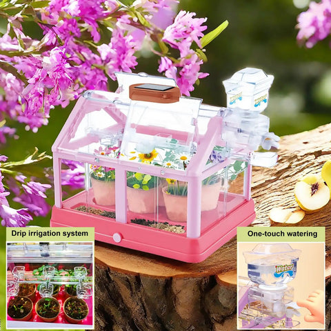 Kid Friendly Plant Growing Kit Greenhouse Set For Diy Terrarium Science, Indoor Gardening Toy With Solar Powered Panel, Drip Irrigation System, pink greenhouse with plants