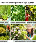 Collage of gardening scenes: herbs, green tomatoes, grape picking, trimming bushes, flowering bonsai and woman pruning, showcasing diverse plant care.