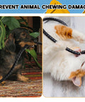 Dog and cat with 3 Pack Spiral Wrap Cable Protector For Cables And Hoses With 1/4 Inch, 1/2 Inch, And 3/8 Inch Outer Diameters