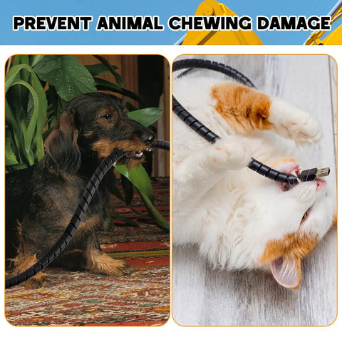 Dog and cat with 3 Pack Spiral Wrap Cable Protector For Cables And Hoses With 1/4 Inch, 1/2 Inch, And 3/8 Inch Outer Diameters