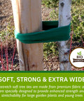 Extra Wide Soft Tree Ties for Big Plants and Young Trees securing tree trunks in garden, green stretchy material, durable support.