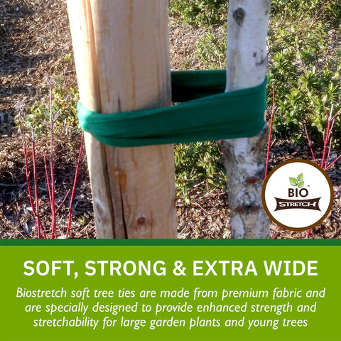 Extra Wide Soft Tree Ties for Big Plants and Young Trees securing tree trunks in garden, green stretchy material, durable support.