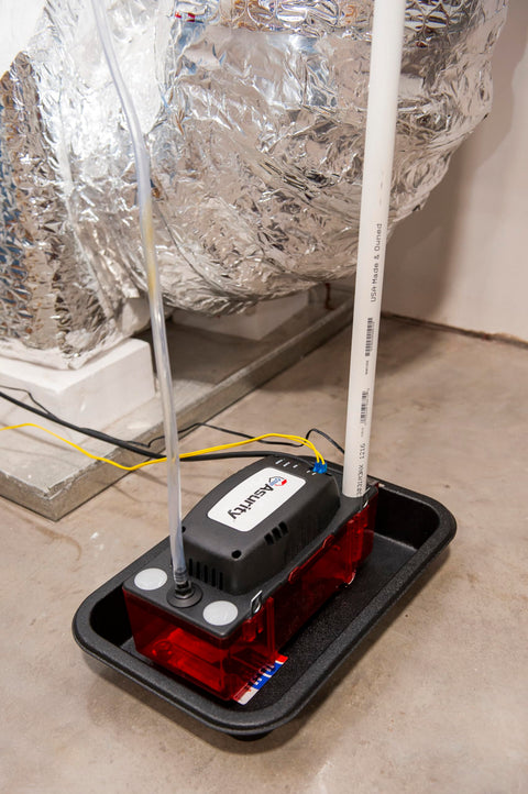 CP-22 Series Go-To Automatic Condensate Pump For HVACR Equipment With Removable Check Valve 120V 22-Foot Lift in action