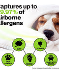 Dog under blanket next to icons showing Six Pack Replacement HEPA Filters For Honeywell Air Purifiers effectiveness against allergens.