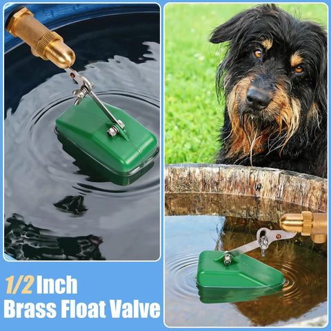 Half Inch Brass Float Valve With Adjustable Arm And 40 PSI Water Level Controller in water feature with dog nearby