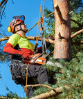 Tree worker using Beefy Heavy Duty Tree Rigging Rope Half Inch By 100 Feet 48 Strand Braided Bull Rope 9000 Lbs MBS Static Line Hoisting