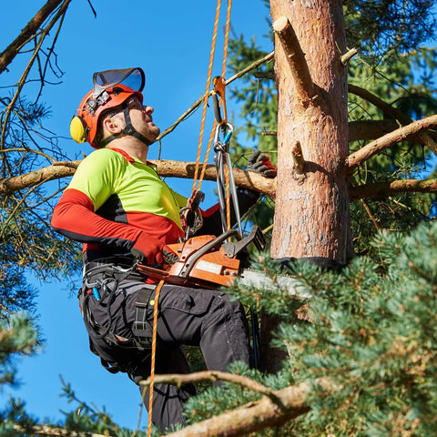Tree worker using Beefy Heavy Duty Tree Rigging Rope Half Inch By 100 Feet 48 Strand Braided Bull Rope 9000 Lbs MBS Static Line Hoisting