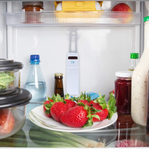 Digital Wireless Fridge And Freezer Thermometer With Alarm Dual Readouts For Home And Restaurants Max And Min Temperature Recall Easy To Read LCD Display Magnetic Backing Wall Mount Or Countertop Use inside a fridge among strawberries and bottles