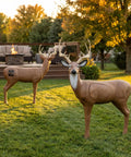 Durable Self Healing Foam Buck Deer 3D Archery Target Handles Thousands Of Shots From Compound Bows Crossbows And Traditional Bows
