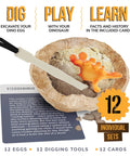 Dig Up 12 Dino Eggs And Uncover 12 Unique Dinosaur Models With A Totally Hands On Dino Dig Kit Featuring Stegosaurus Model and Card