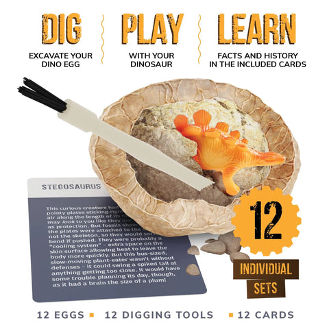 Dig Up 12 Dino Eggs And Uncover 12 Unique Dinosaur Models With A Totally Hands On Dino Dig Kit Featuring Stegosaurus Model and Card