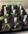 5 Piece Seed Starter Tray Kit With 60 Square 3.5 Inch Pots, No Drain Holes On Trays, Includes 60 Plant Tags And 2 Mini Gardening Tools