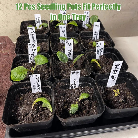 5 Piece Seed Starter Tray Kit With 60 Square 3.5 Inch Pots, No Drain Holes On Trays, Includes 60 Plant Tags And 2 Mini Gardening Tools