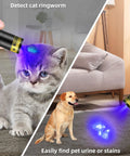 Powerful Dual UV Flashlight 365nm 395nm Mini Wood Lamp USB C Rechargeable Ultraviolet Blacklight showing pet urine detection