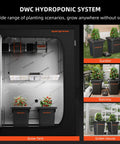 Deep Water Culture DWC Hydroponics Grow System With 7-Gallon Capacity in garden, balcony, and greenhouse settings