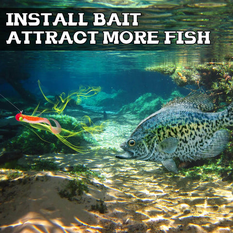 Underwater view showing crappie fish next to 12 Piece Crappie Jig Heads Kit With Hollow Scent Holder For Long Lasting Odor Attracting Fish Dual Side Hooks For Crappie And Bass with red jig.