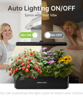 Indoor Hydroponics Garden System With 12 Pods And 24W LED Grow Light, 4L Water Tank, flowers and tomatoes growing, black