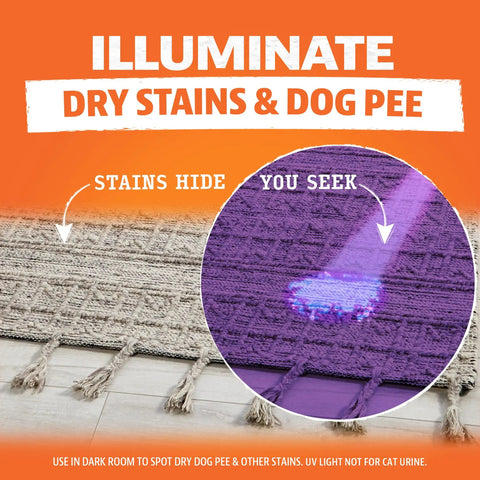 Portable UV Flashlight Black Light For Pet Urine Detection On Carpets And Upholstery highlighting dog pee stain on carpet