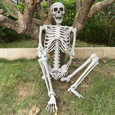 5.4Ft Life Size Halloween Skeleton With Movable Joints For Indoor Outdoor Setup Weather Resistant Full Body Prop Great For Spooky Halloween Displays Haunt Decor Durable And Foldable For Easy Storage sitting under a tree