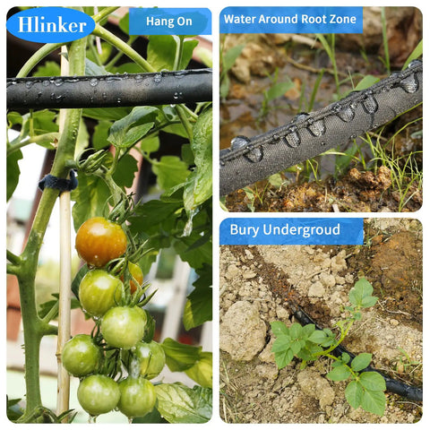 Flat Soaker Hose 50 Feet Twin Pack For Garden Beds One Half Inch Linkable Drip Irrigation Water Saving Leakproof Heavy Duty Double Layer Sprinkler Hose in garden bed.