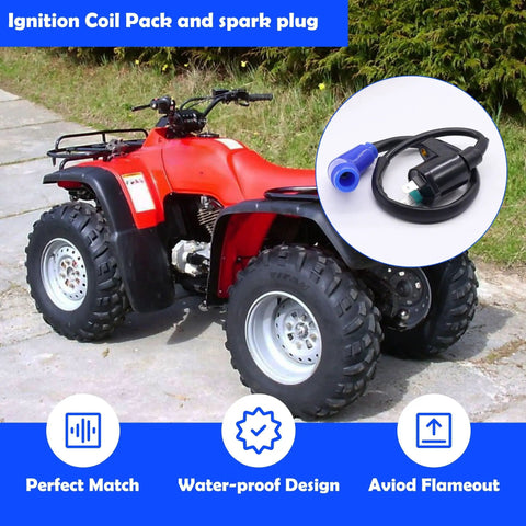 Red Honda FourTrax 300 ATV with Ignition Coil Spark Plug CDI Box For Honda FourTrax 300 TRX 300 2x4 1989 1990 1991 1992 1993