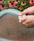 Person dropping Organic Mosquito Dunk Larvicide into a bird bath surrounded by colorful flowers.